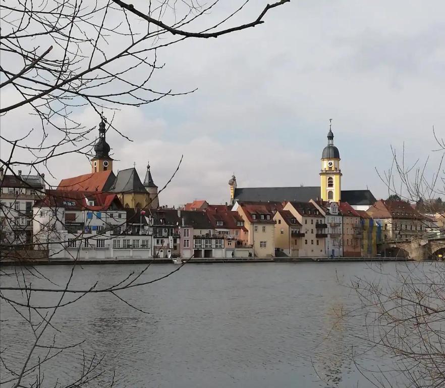 uitzicht op een stad met een rivier en gebouwen bij Gartenland Gela in Kitzingen