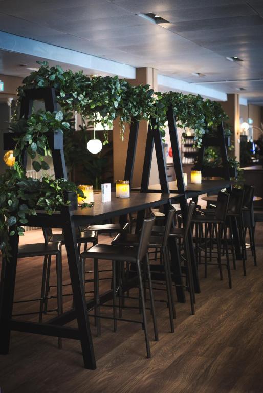 Hotel Birger Jarl - Resim 20