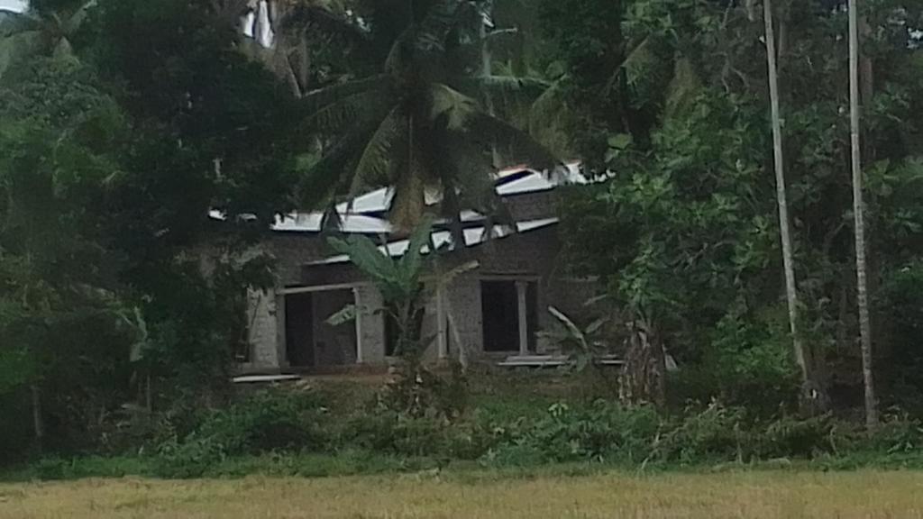 una casa con una palmera delante de ella en Private home vila, en Galle
