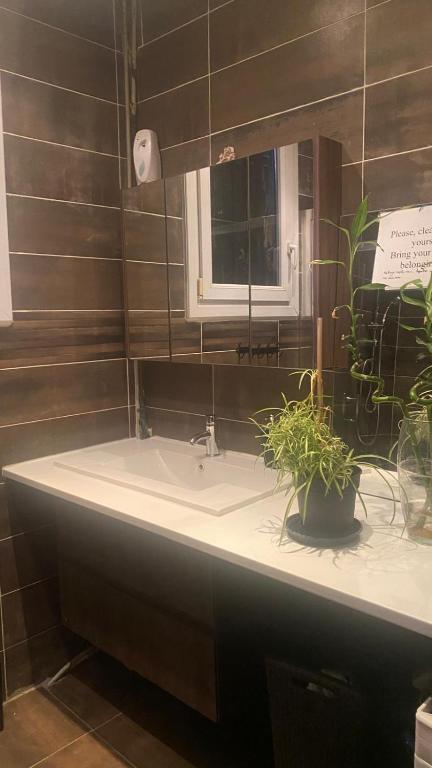 a bathroom with a sink and a mirror and a plant at Chambre Solo Duo 20 min Paris - G in Drancy