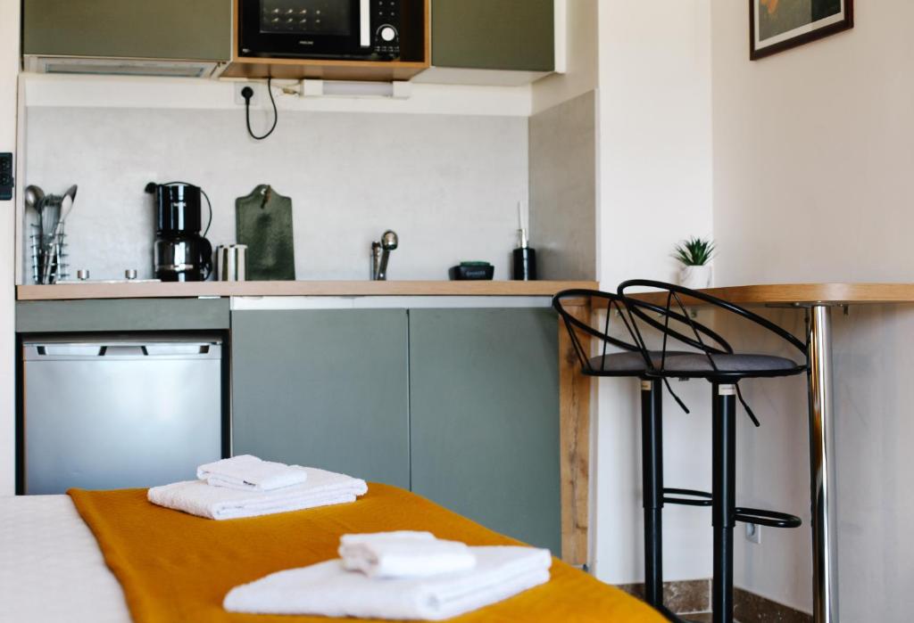 Studio avec parking vue sur la Cité de Carcassonne - 17