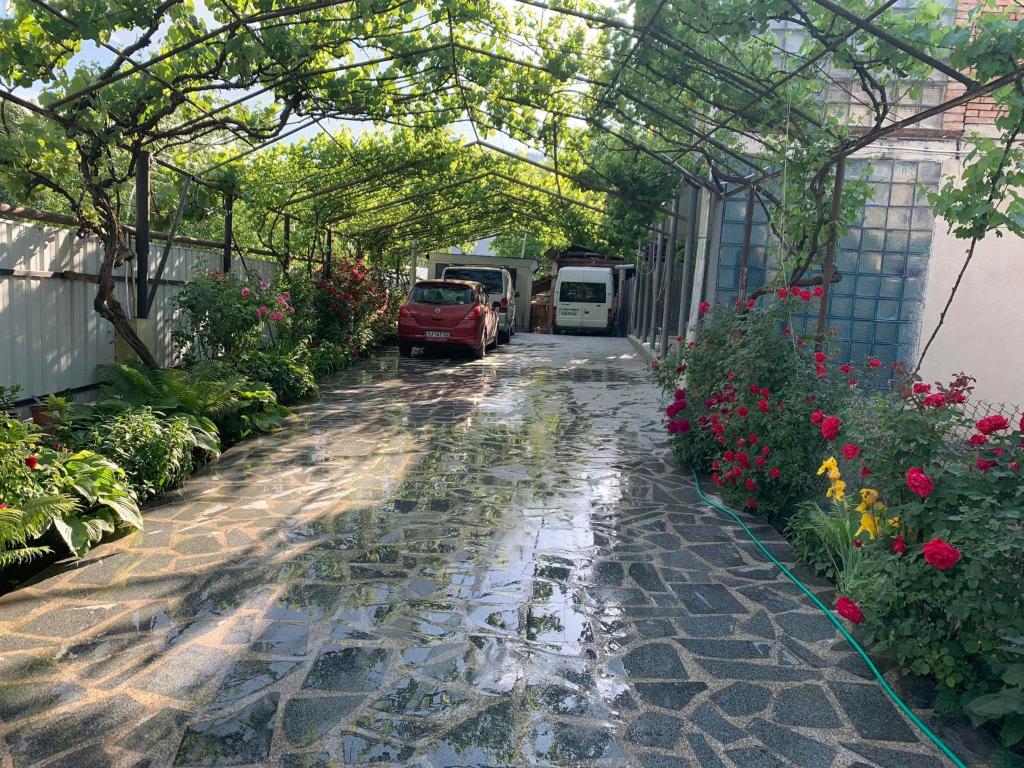 a garden with a greenhouse and cars parked on a street at borjomi wood edge in Borjomi