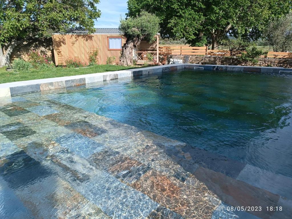 a swimming pool with a mosaic floor in a yard at Mas de l'Amme in Valréas