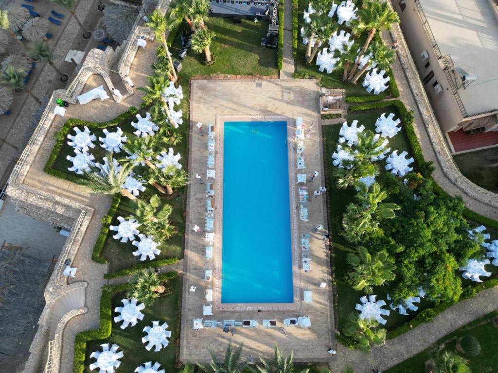 an overhead view of a swimming pool with white flowers at Tamra Beach Resort in Sharm El Sheikh