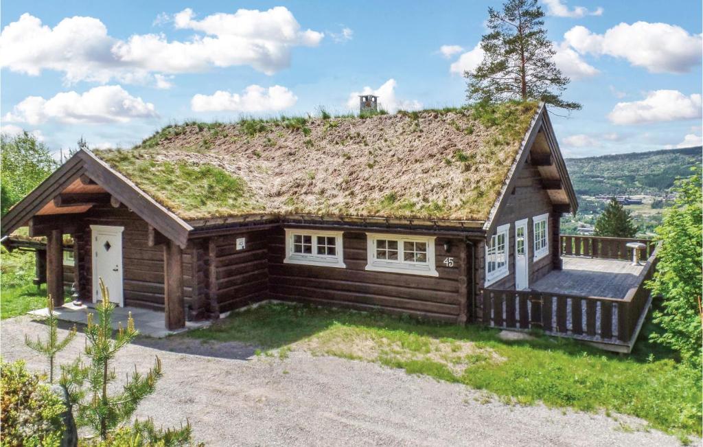 トリシルにある4 Bedroom Beautiful Home In Trysilの芝生の屋根のログキャビン