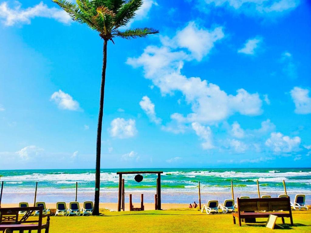 una palmera en la playa con sillas y un parque infantil en Apartamento amplo de frente para o mar em Resort, en Entre Rios