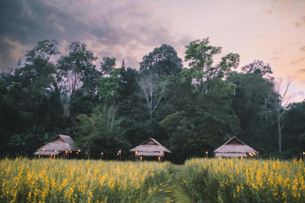 un campo con dos cabañas y un campo de flores en Sangkaew Phuthara, en Ban Pang Rim Khon
