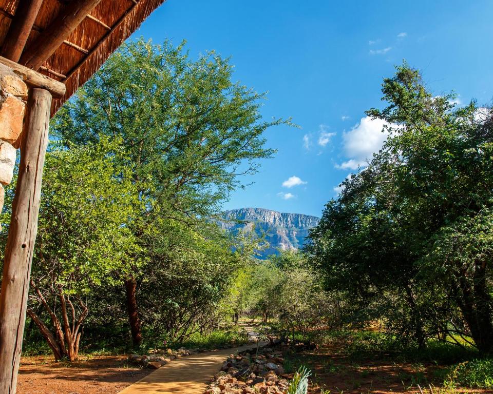 a path with trees and a mountain in the background at Shikwari Nature Reserve in Hoedspruit