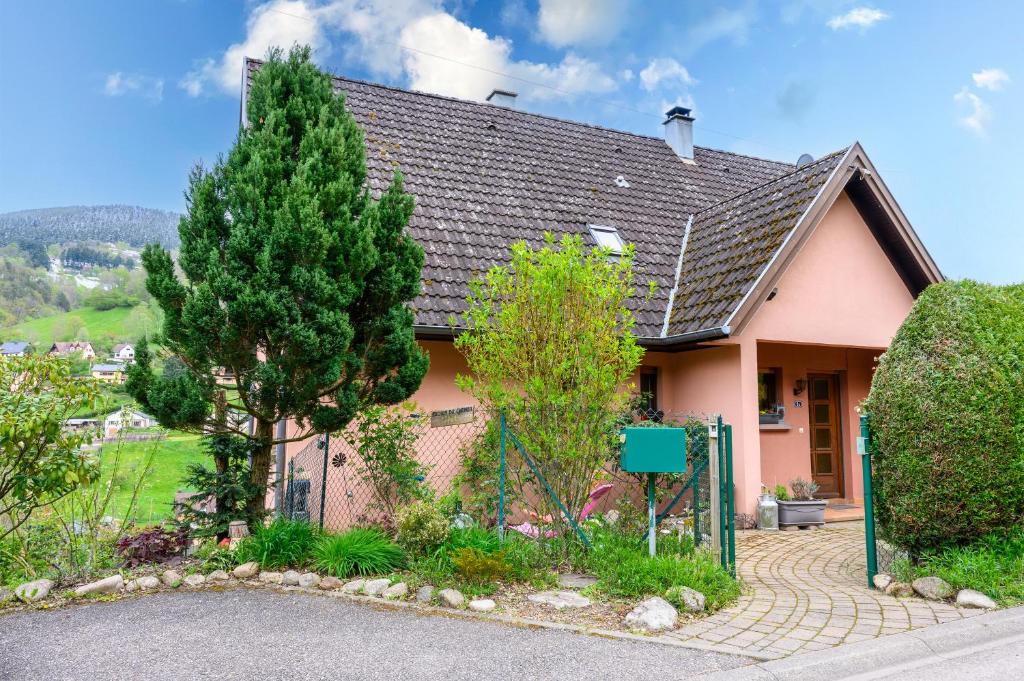 dom z drzewem przed nim w obiekcie Gîte en montagne vosges alsaciennes w mieście Fréland
