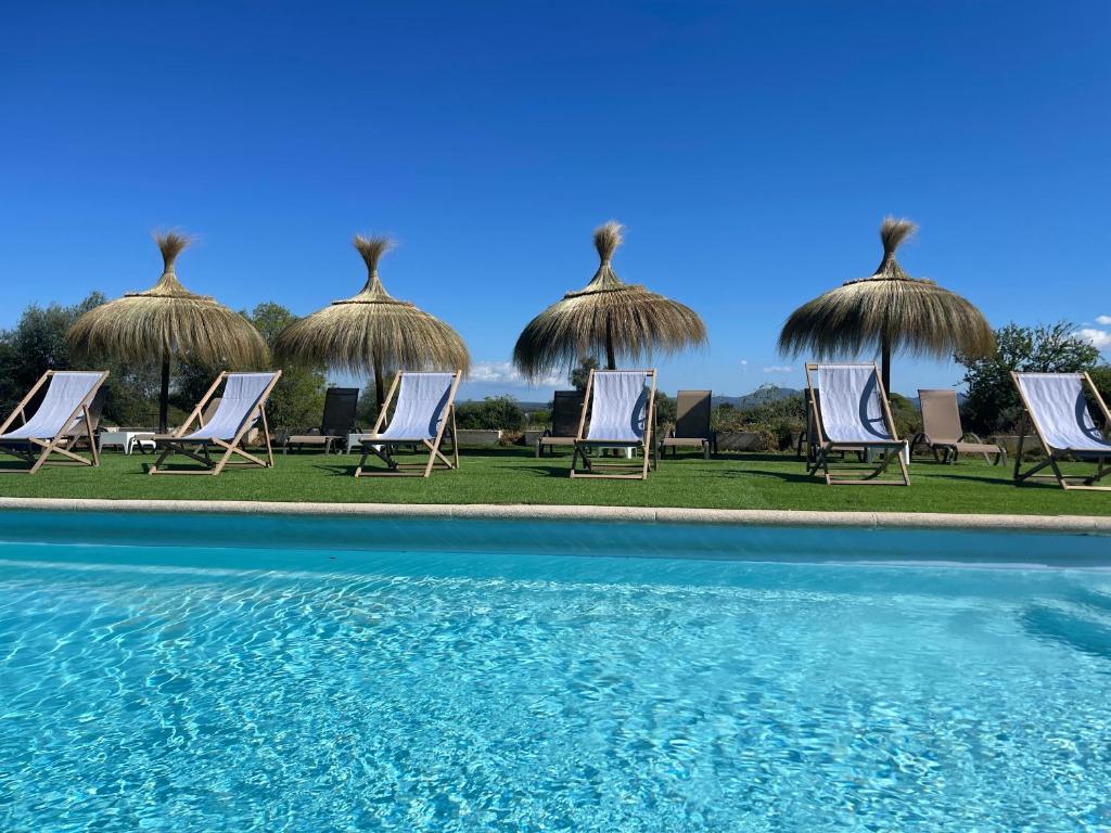 a group of chairs and umbrellas next to a pool at Agroturismo Finca Dalt Murada in Binissalem
