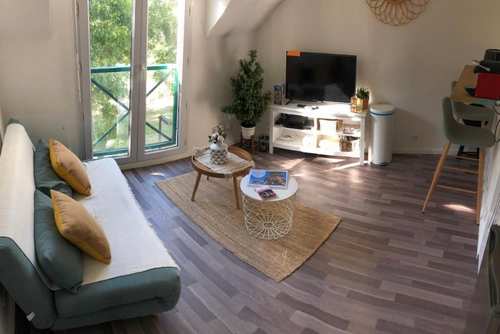 un salon avec un canapé et une télévision dans l'établissement Charmant T2 avec garage à 2 pas gare/centre-ville, à Nantes