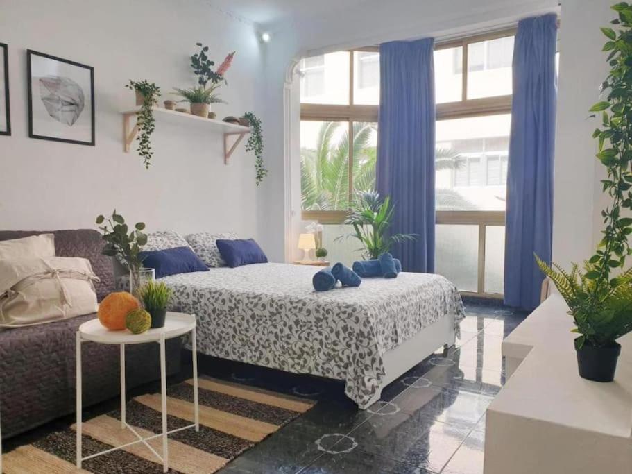 ein Wohnzimmer mit einem Bett und einem Sofa in der Unterkunft LM27 Beach by Wave Properties in Las Palmas de Gran Canaria