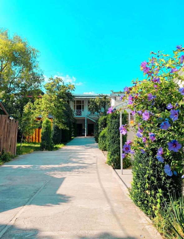 Zahrada ubytování Paloma Inn Dilijan