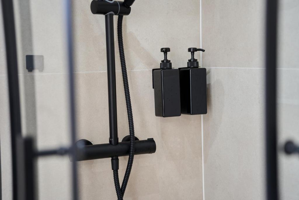 La PINTORESCA ''TIERRA'' - TEATRO ROMANO MERIDA - 11