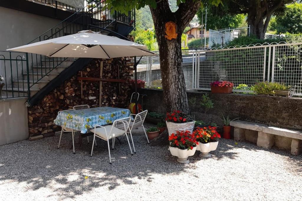 einen Tisch und Stühle unter einem Regenschirm neben einem Baum in der Unterkunft Lake Como Apartment IL NOCE in Canzo