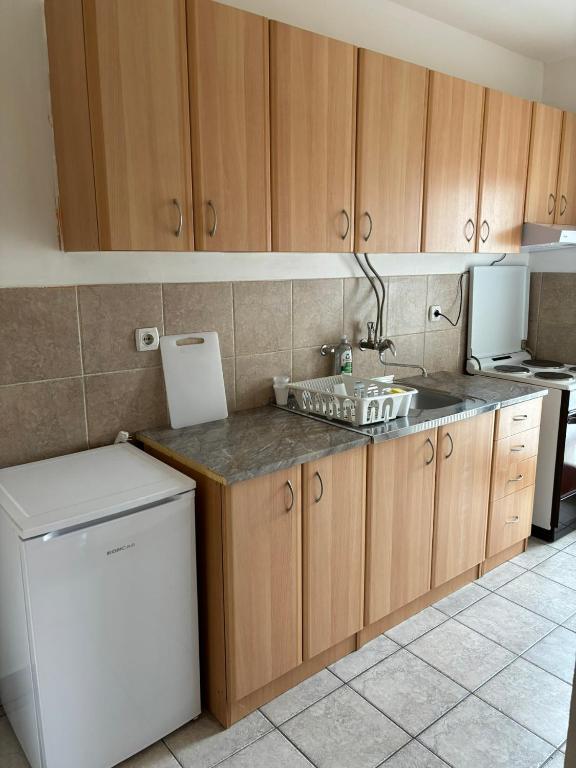 Kuchyň nebo kuchyňský kout v ubytování Apartman LENKA