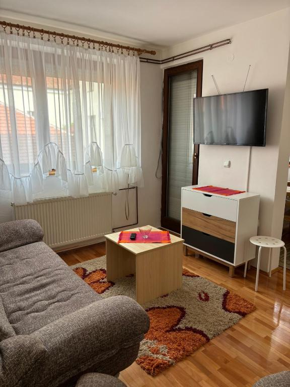 TV a/nebo společenská místnost v ubytování Apartman LENKA