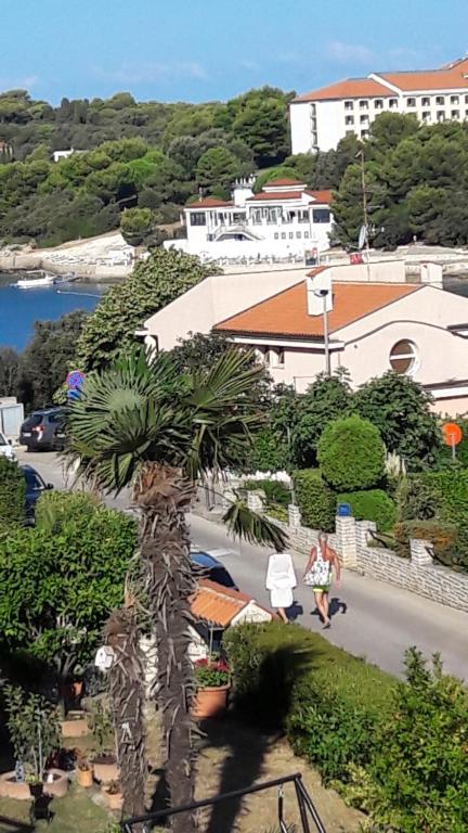 a palm tree on the side of a street at Apartments Duda in Pula