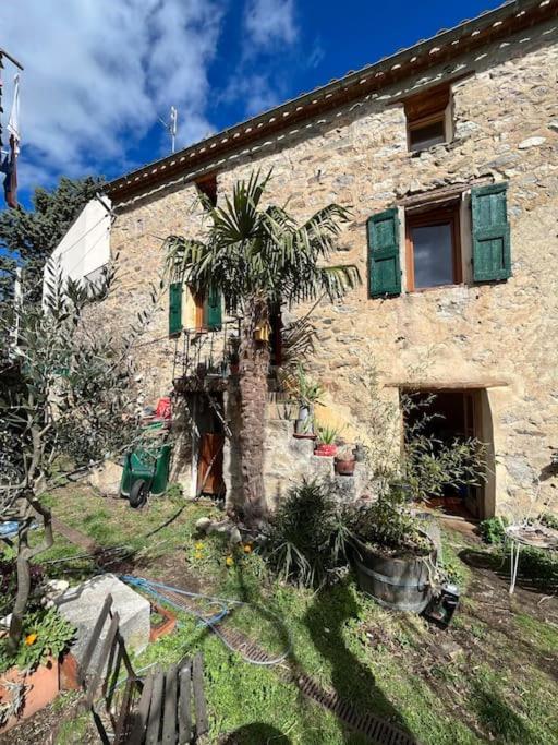 une maison en pierre avec un palmier en face de celle-ci dans l'établissement Charmante maison à Fillols, à Fillols