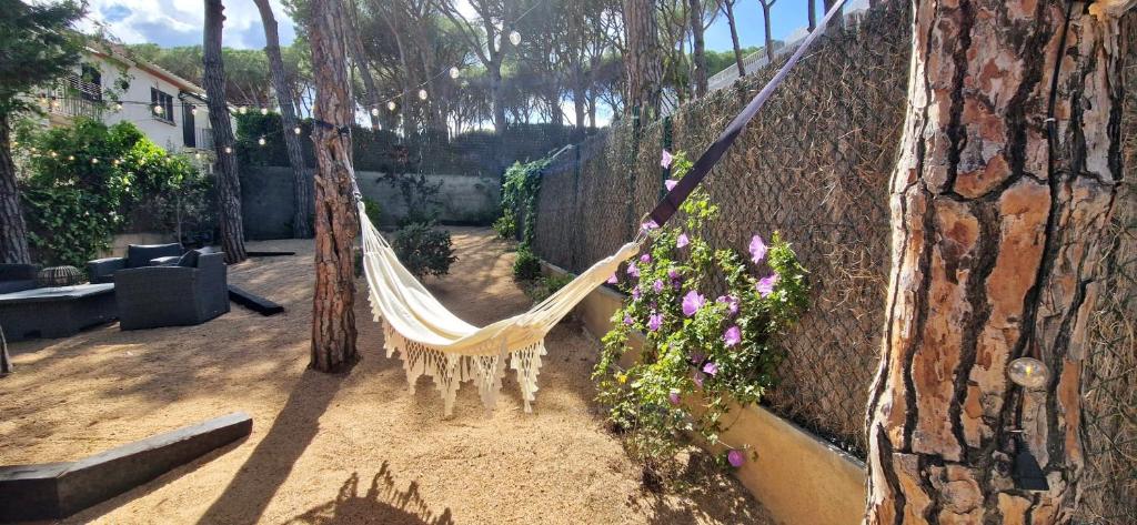 Vonkajšia záhrada v ubytovaní BRISA DE CALELLA DE PALAFRUGELL