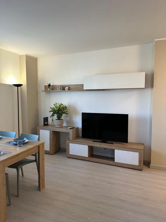 TV a/nebo společenská místnost v ubytování Luxury Apartment