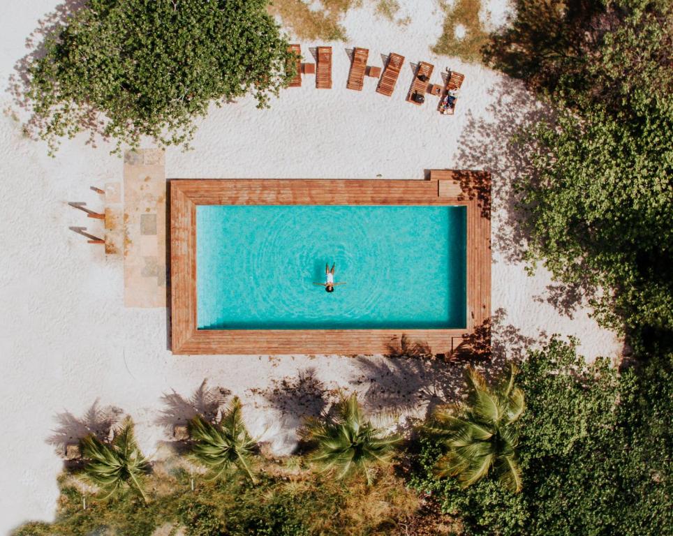 an overhead view of a swimming pool with palm trees at La Ferme De Georges in Atins