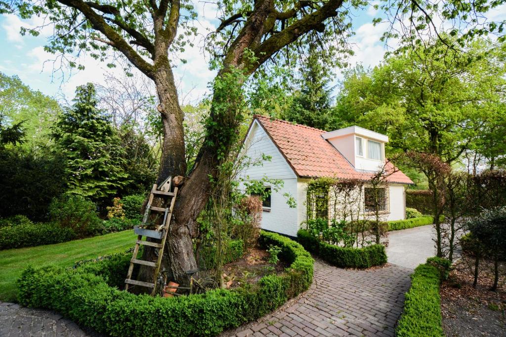 Una escalera apoyada en un árbol al lado de una casa en Bed & Breakfast De Boogschutter - Kersenboom, en Langenboom