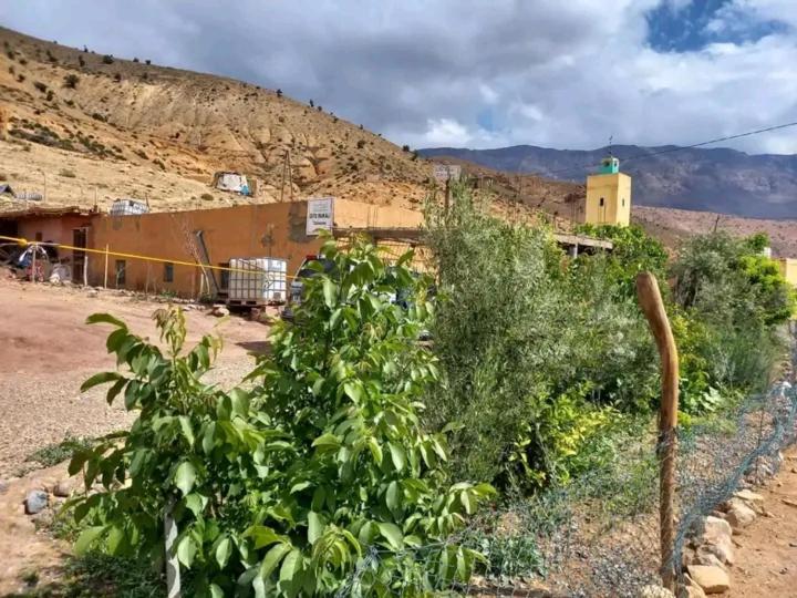 GITE ROURAL TATIOUINE Midelt في Tattiouine: ميدان نباتات بمبنى في الخلفية