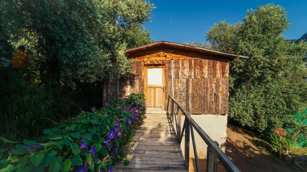 Zahrada ubytování Shiva Camp