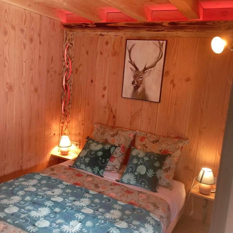 Postel nebo postele na pokoji v ubytování A la cabane des Bois dessus Tiny Gite