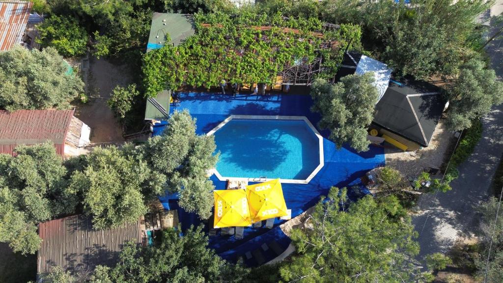 een uitzicht over een zwembad in een tuin bij Shiva Camp in Faralya
