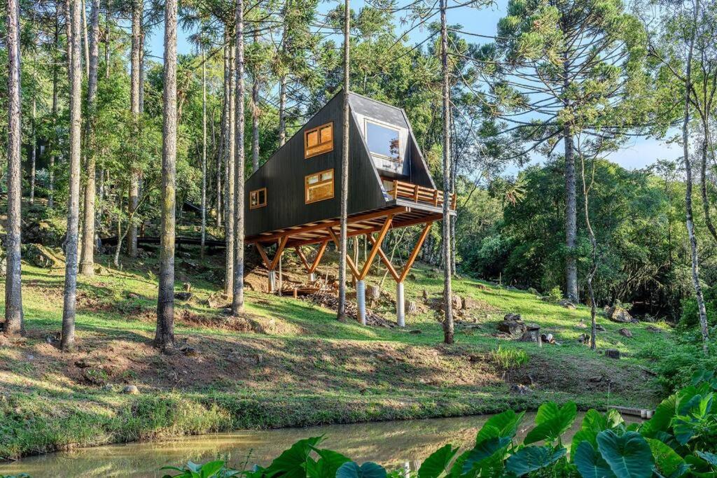 a tree house in the middle of a forest at Casa Árbol - Pousada Nacarapina in São Francisco de Paula