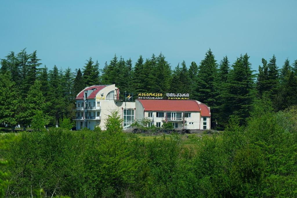 een groot gebouw bovenop een heuvel met bomen bij Hotel Tsiskari in Ianet'i