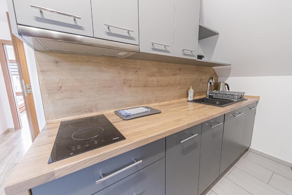 Zator Lider House Energy - Two-Bedroom Apartment