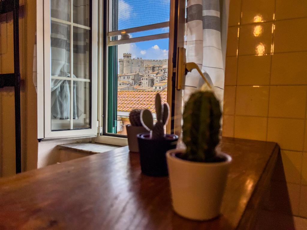 two plants sitting on a table in front of a window at Apt Finestra Sul Castello, Vista Lago Wi-Fi Gratis in Bracciano