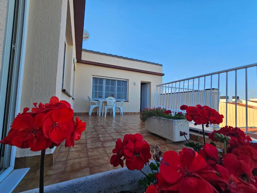 Fotografie z fotogalerie ubytování Hotel Blue Spot v destinaci Malgrat de Mar