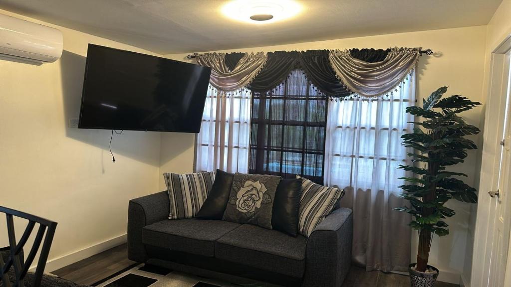 uma sala de estar com um sofá e uma televisão de ecrã plano em Lemmyalplace em Georgetown