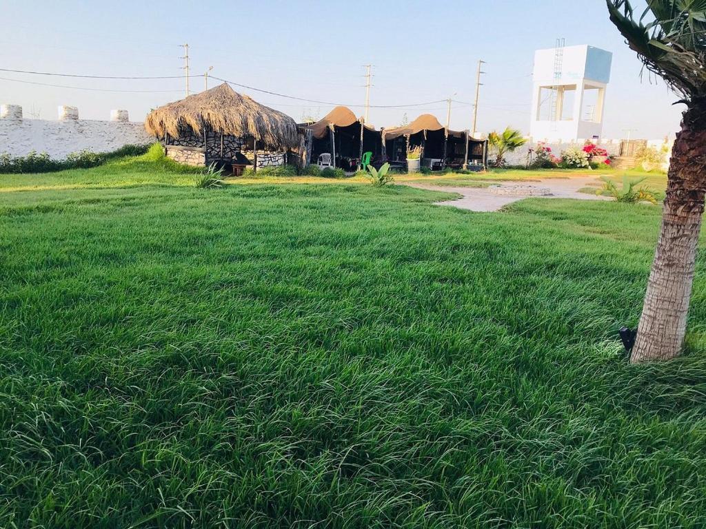 a field of green grass with huts and a tree at sidi kaouki ayt karoum in Sidi Kaouki