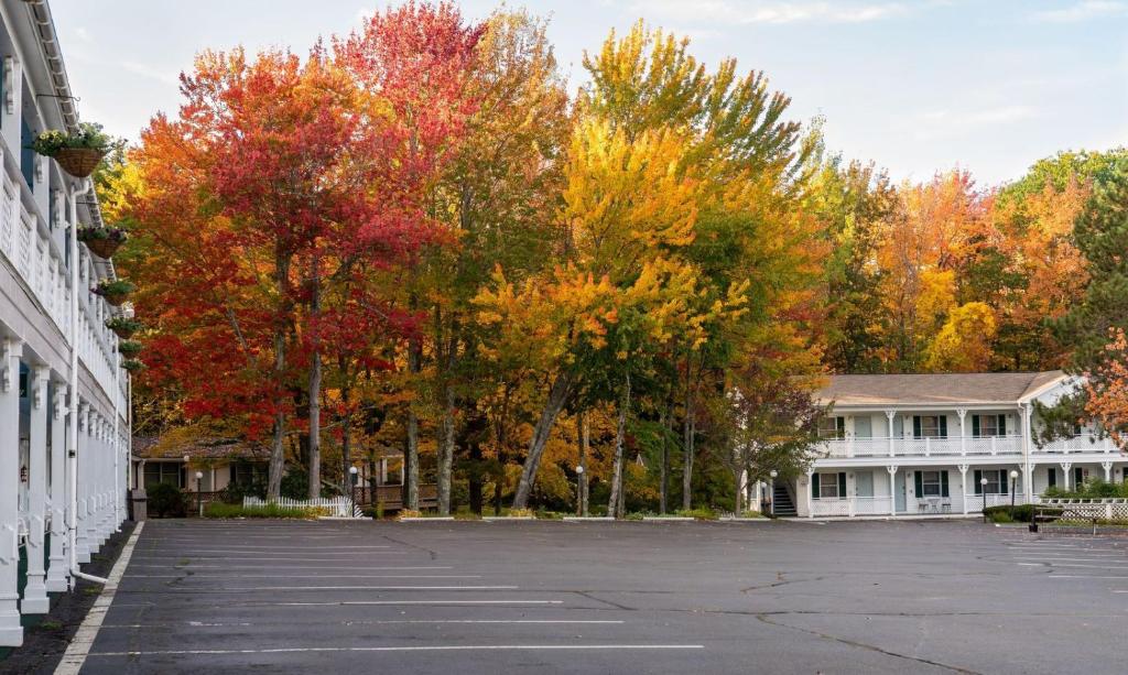 Cedar Crest Inn photo