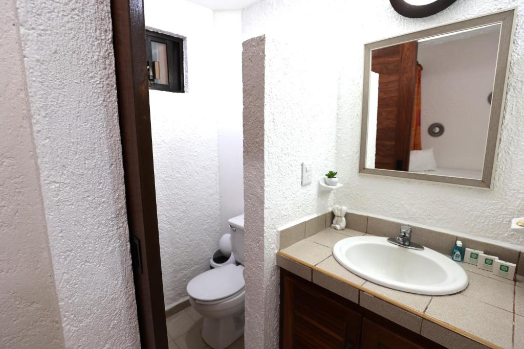 Hotel Bosque Caribe, 5th Av. zone photo