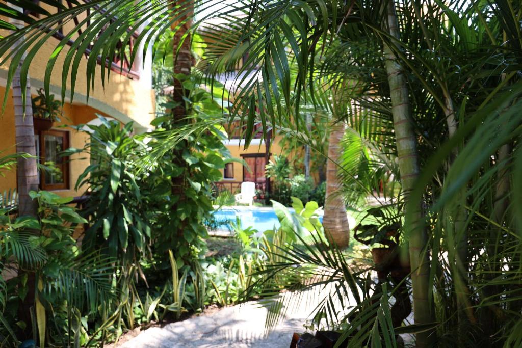 Hotel Bosque Caribe, 5th Av. zone photo