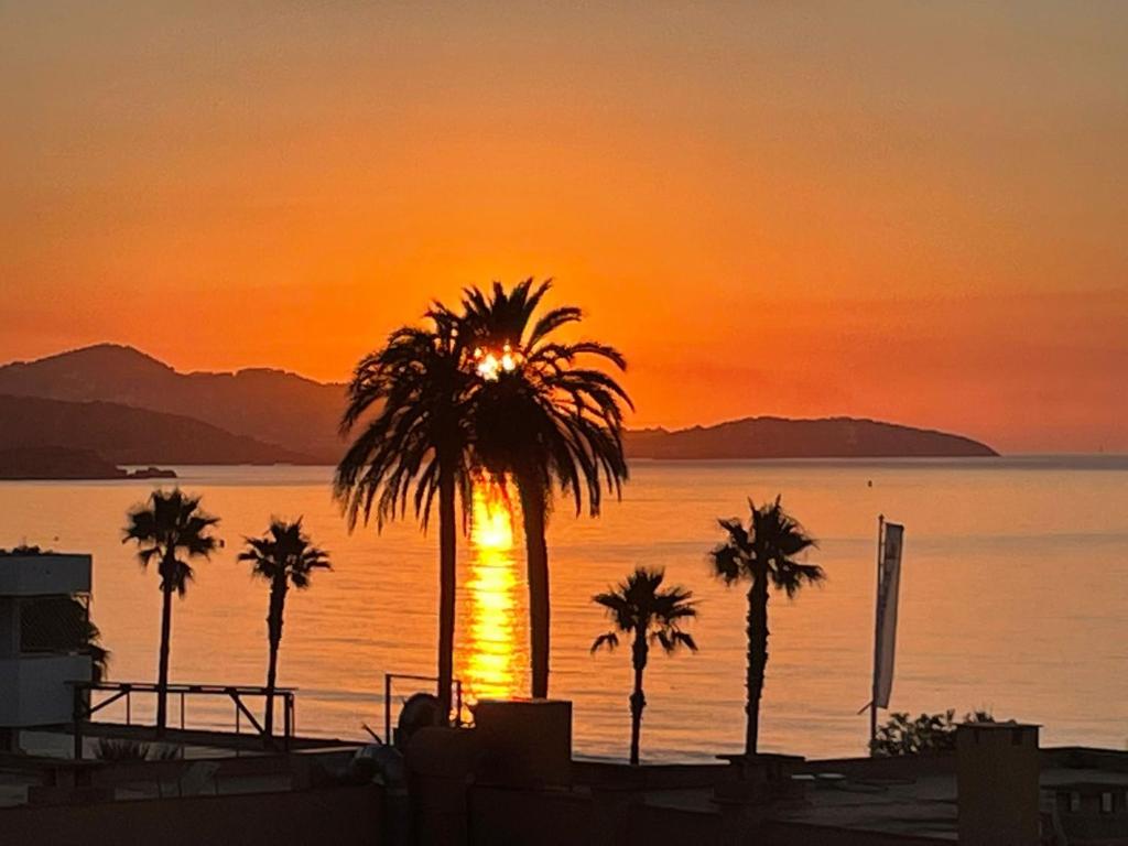 un grupo de palmeras frente a una puesta de sol en The Grand Suites en Ibiza