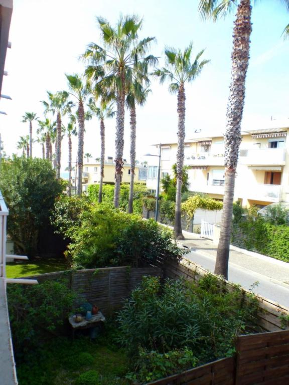 - une vue sur une rue bordée de palmiers et un bâtiment dans l'établissement Pleasant seaside cocoon, à Six-Fours-les-Plages