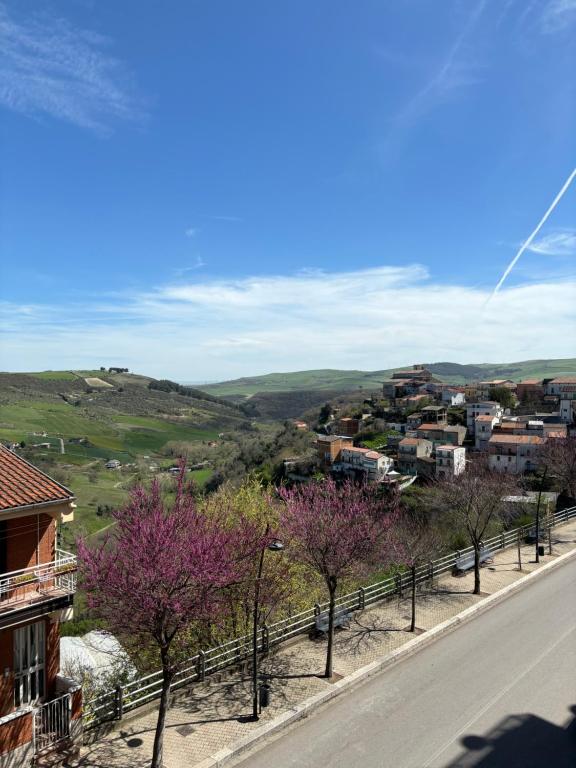 uma rua com árvores ao lado de uma estrada em Borgo albergo vulturis em Rapolla