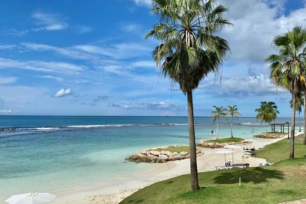 una spiaggia con palme e l'oceano di A Hidden Gem in the Caribbean Paradise a María Grande