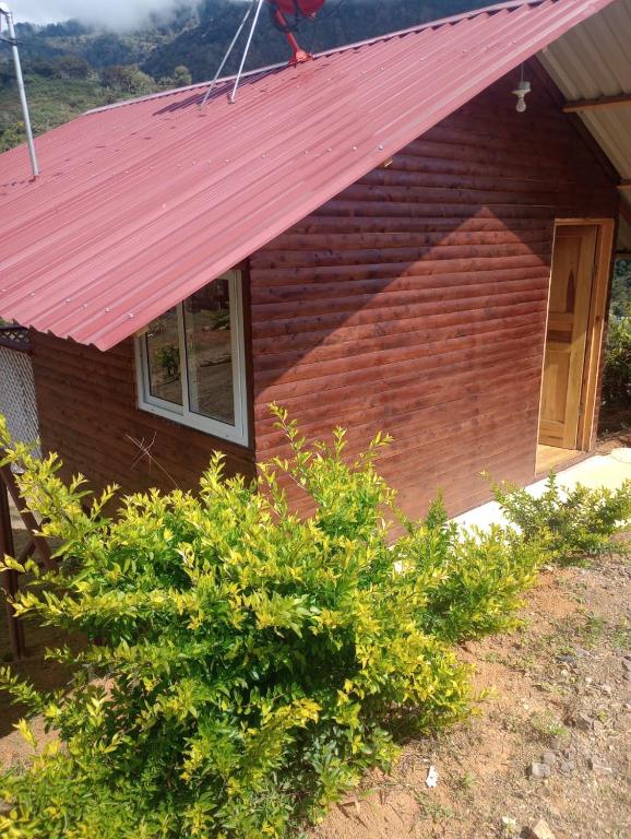 ein Haus mit rotem Dach und einigen Büschen in der Unterkunft Mario's Lodge Providencia in Copey