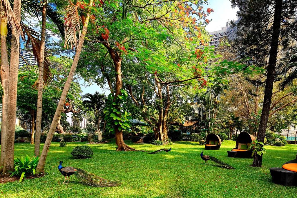 Royal Orchid Sheraton Riverside Hotel Bangkok - Resim 28