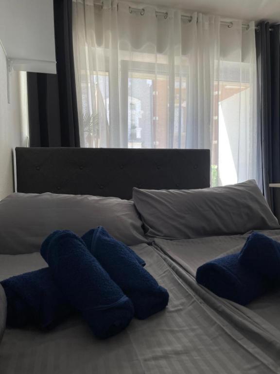 a bed with blue pillows on it with a window at Cozy Central Apartment in Trier