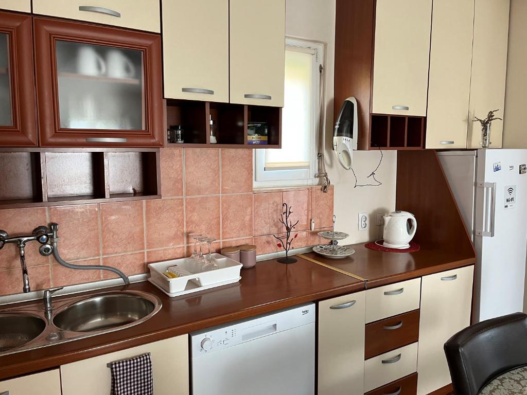 Apartment Helena Airport - 13