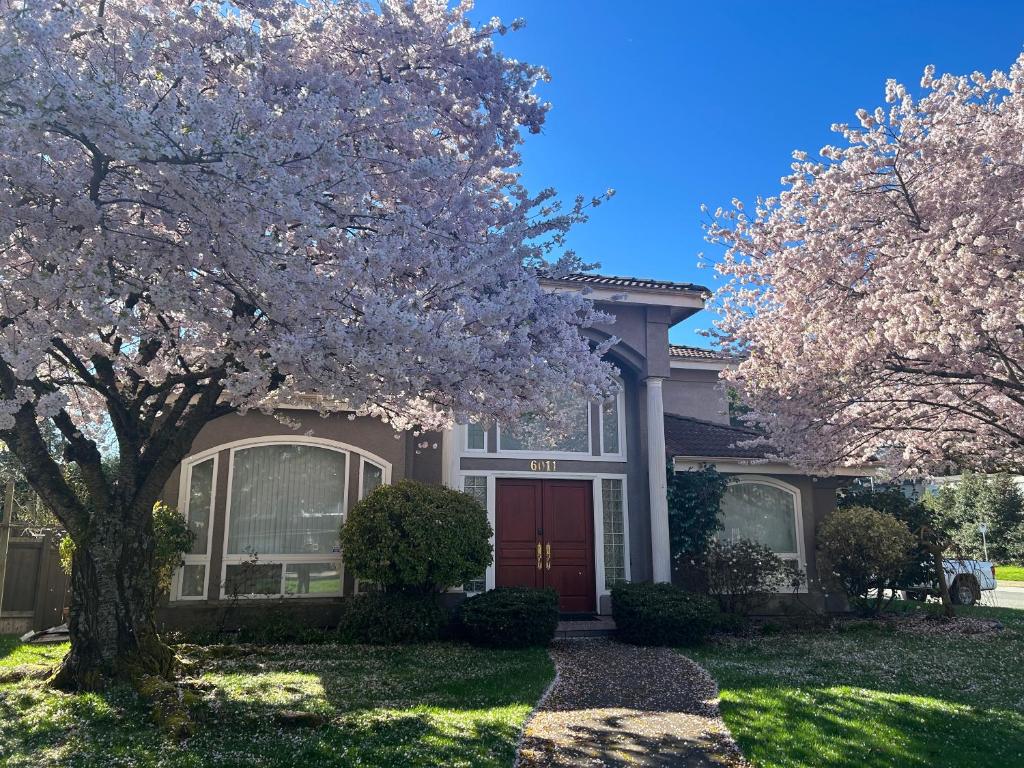a house with a flowering tree in front of it at Harmony House in Richmond